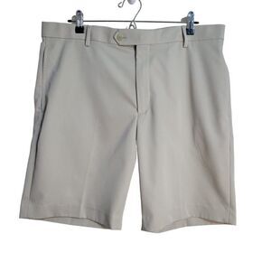 Daniel Cremieux Signature Collection Chino Shorts (Size 36)